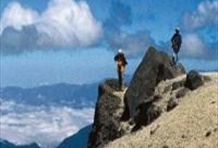 Excursion to the Cotopaxi National Park & Hacienda